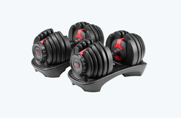 Bowflex SelectTech 552 Dumbbells